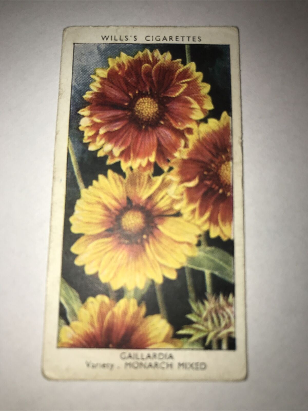 Wills Cigarette Cards GARDEN FLOWERS 1939 1930s - Pick! the ones you want