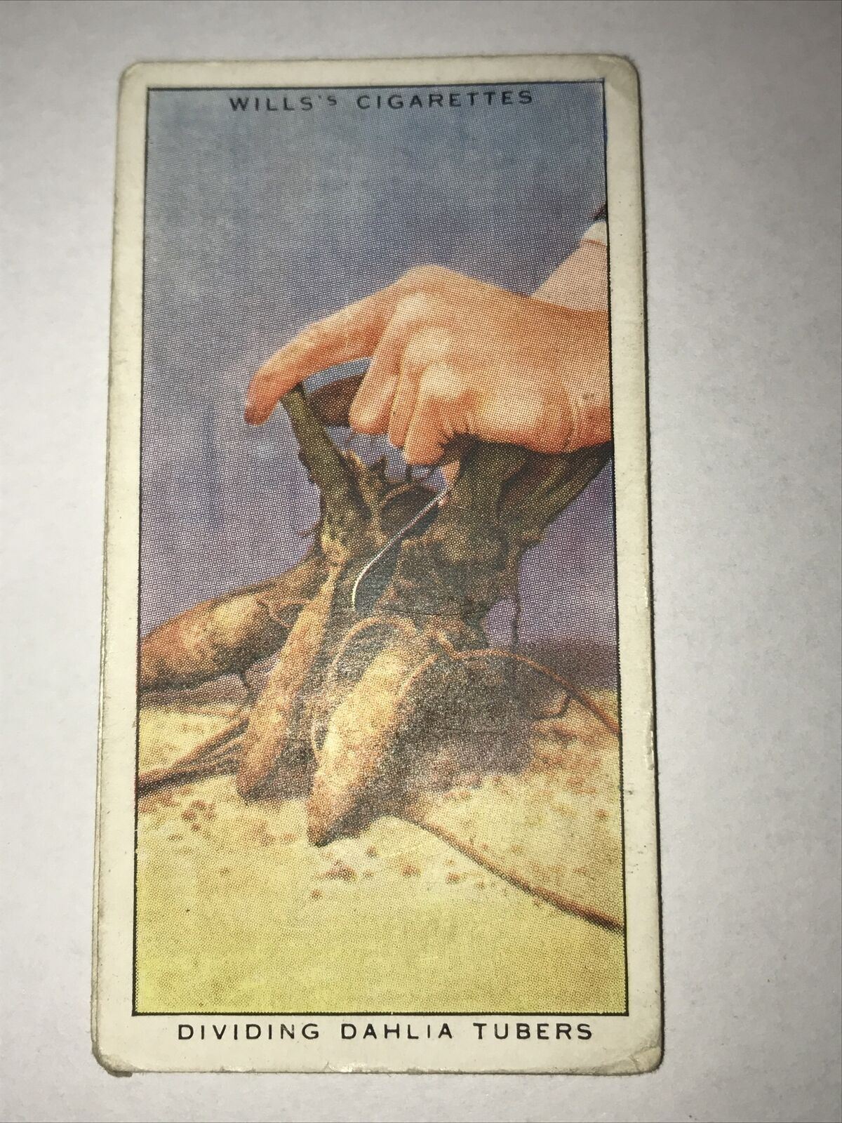 Wills Cigarette Cards - Garden Hints - 1938 - Sold Individually - Please pick from the drop-down menu