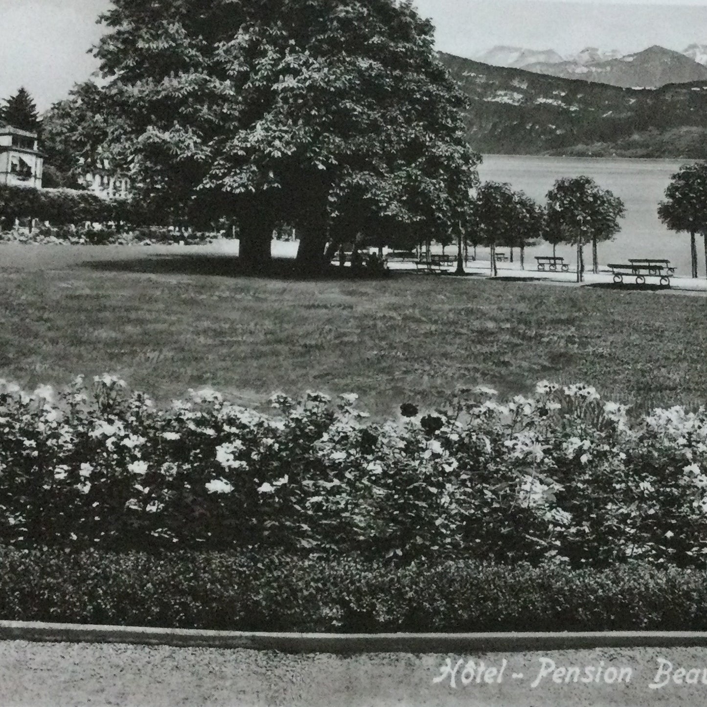 Vintage 1930s postcard b&w Lucerne Luzern Hotel Pension Beau-Sejour SWITZERLAND Lake Lucerne