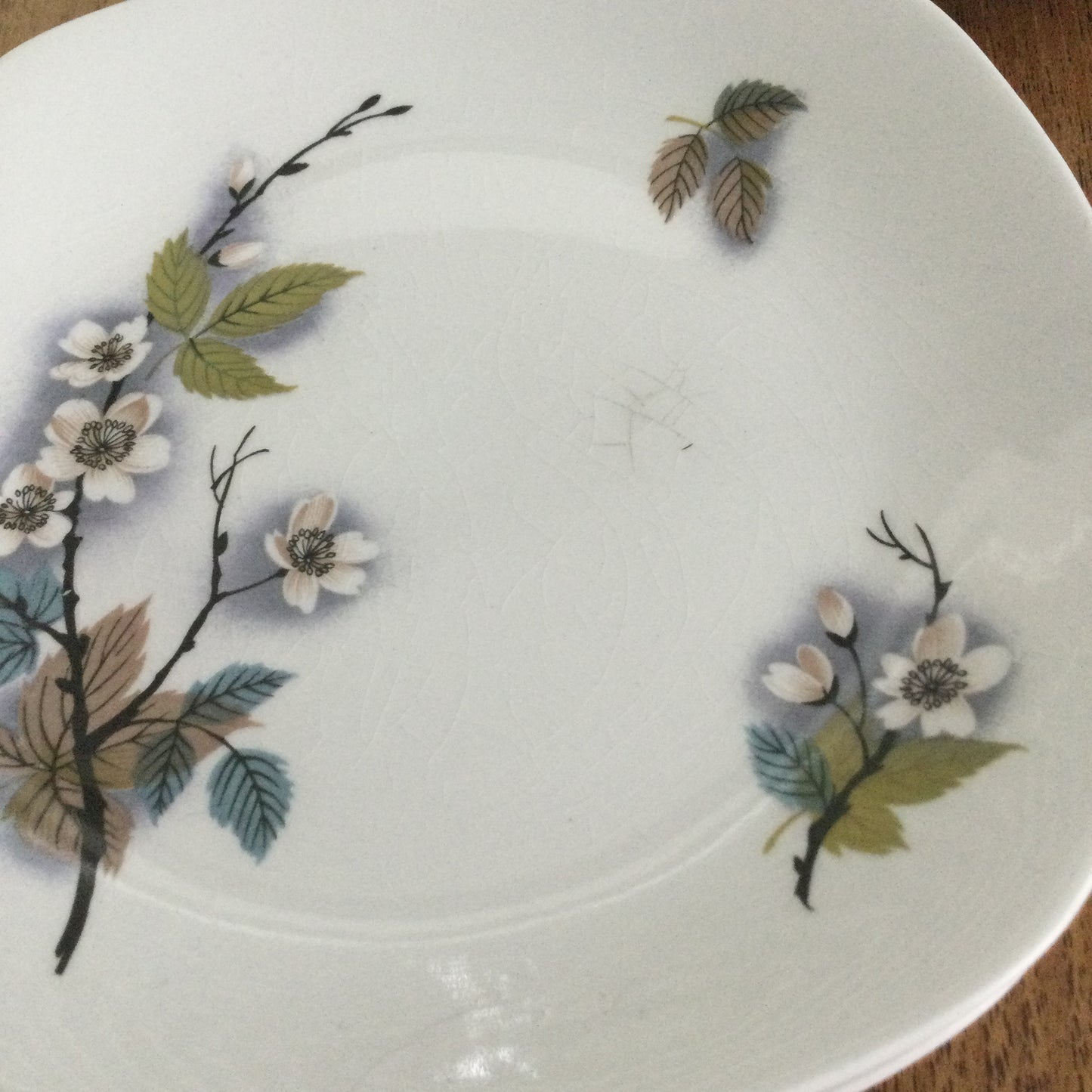 Midwinter Orchard Blossom Fashion Shape Stylecraft set of 6 6" side plates / b&b plates 1960s retro
