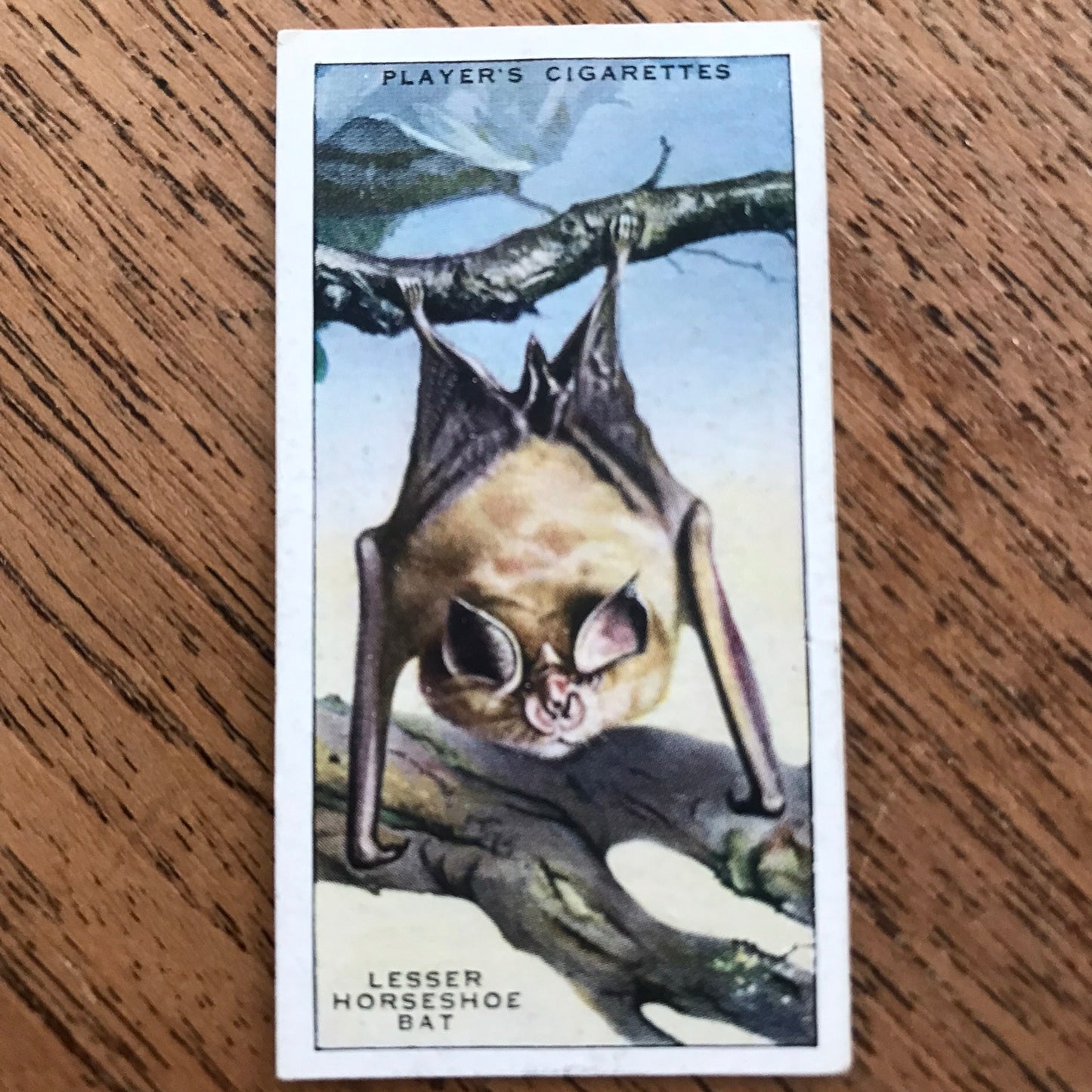 Animals of the Countryside. Players Cigarette Cards. 1939. 1930s. Sold individually so you can take your pick.