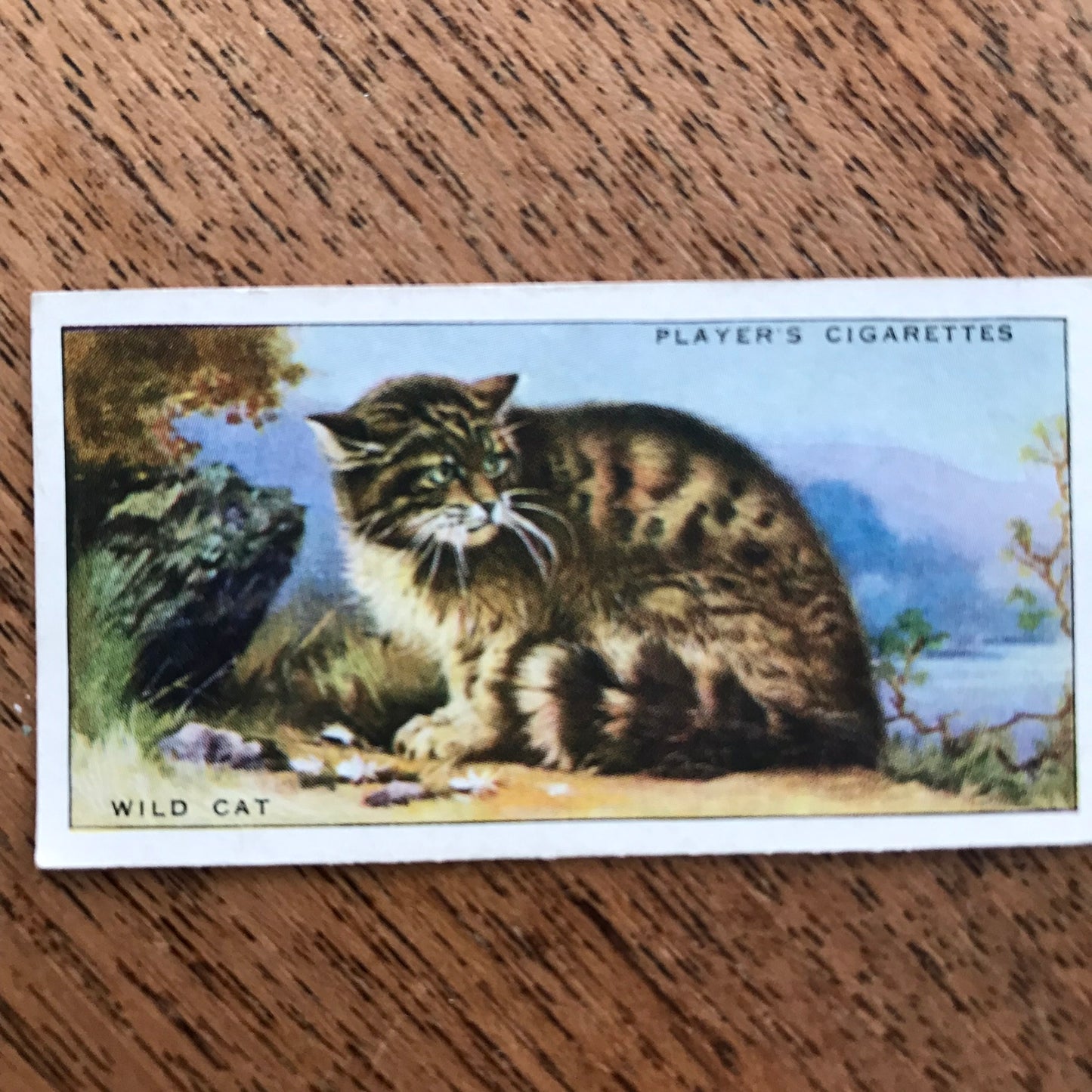 Animals of the Countryside. Players Cigarette Cards. 1939. 1930s. Sold individually so you can take your pick.