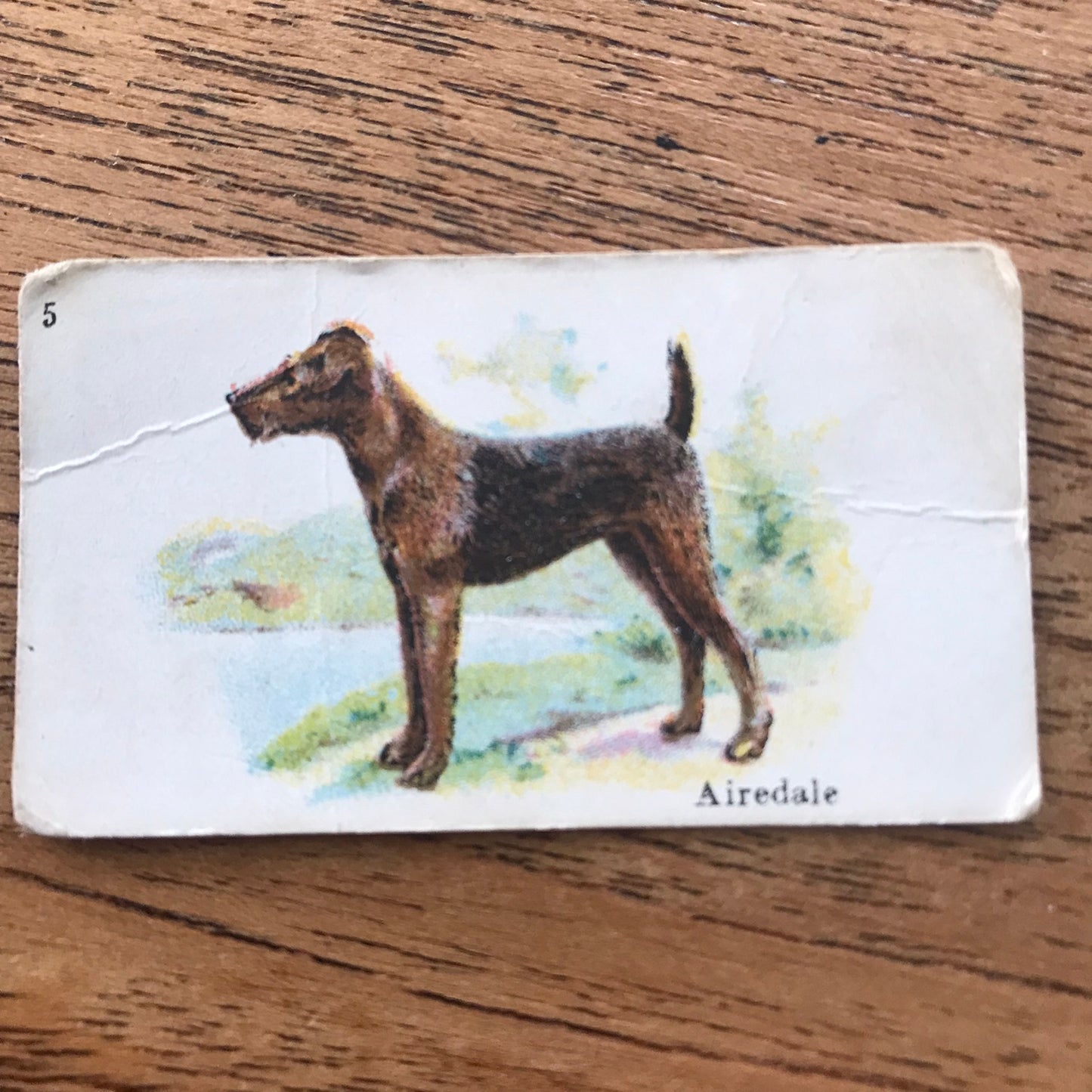 British American Tobacco BAT Cigarette Cards 'Best Dogs Of Their Breed' 1913 - Sold individually.