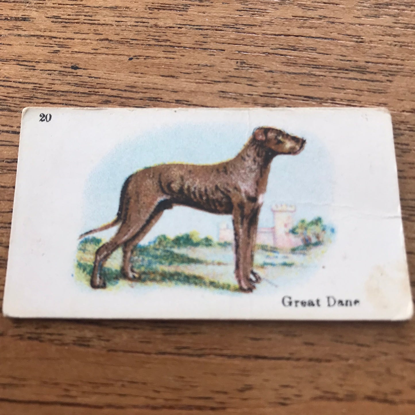 British American Tobacco BAT Cigarette Cards 'Best Dogs Of Their Breed' 1913 - Sold individually.