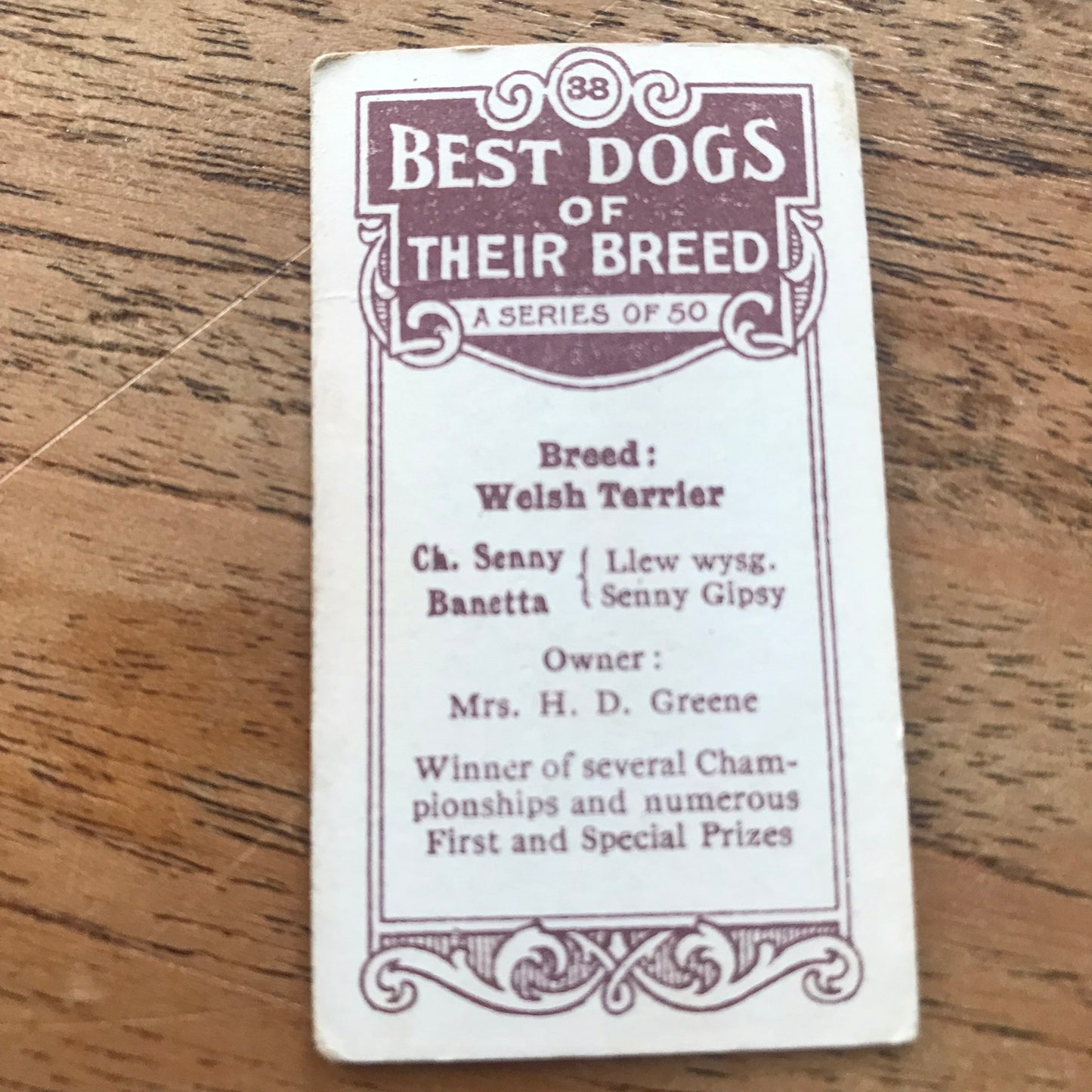 British American Tobacco BAT Cigarette Cards 'Best Dogs Of Their Breed' 1913 - Sold individually.