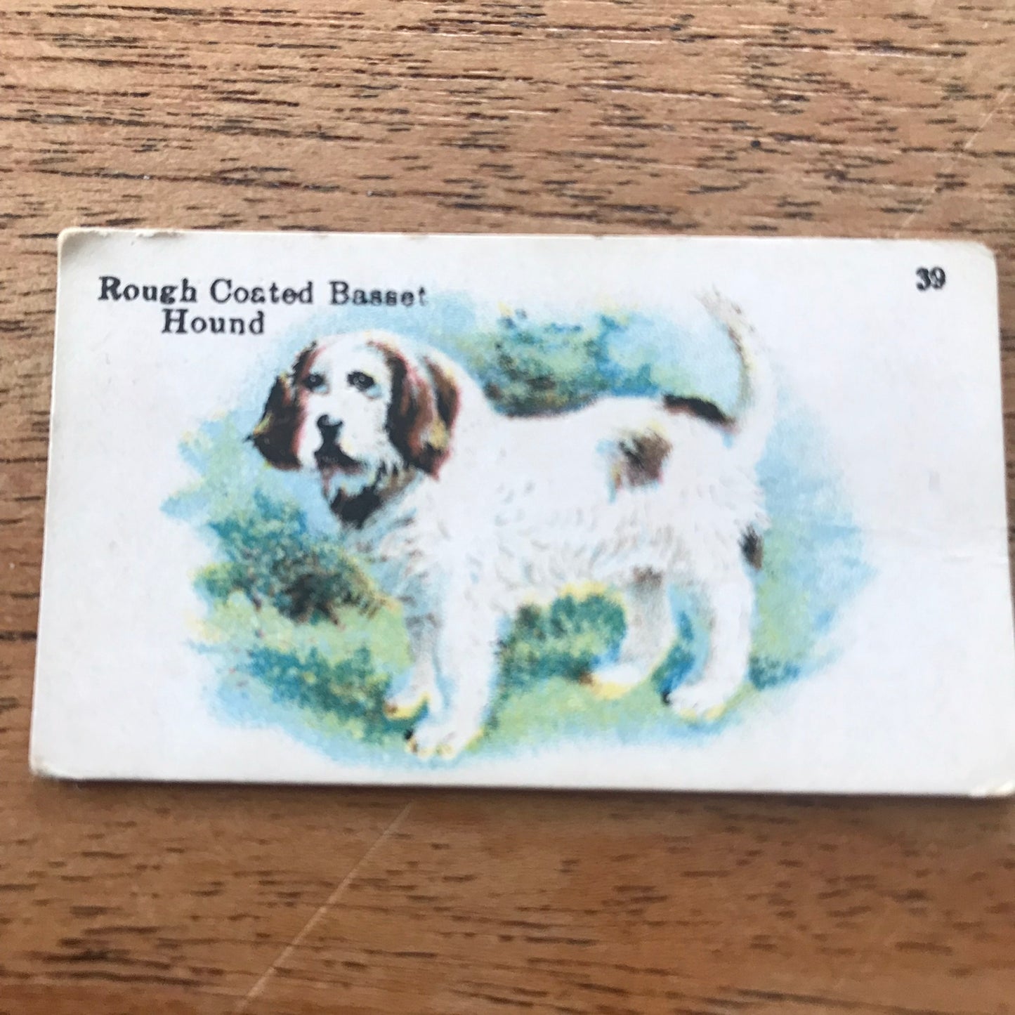 British American Tobacco BAT Cigarette Cards 'Best Dogs Of Their Breed' 1913 - Sold individually.