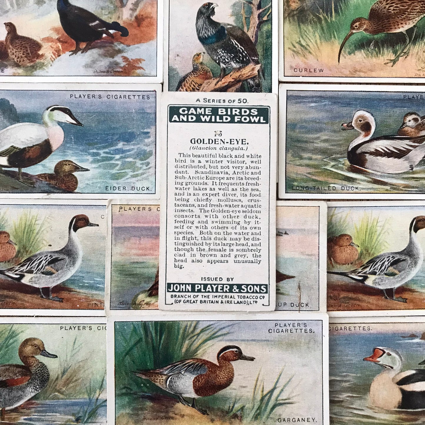 Players Cigarette Cards 'Game Birds and Wild Fowl' 1927 Sold individually - take your pick.