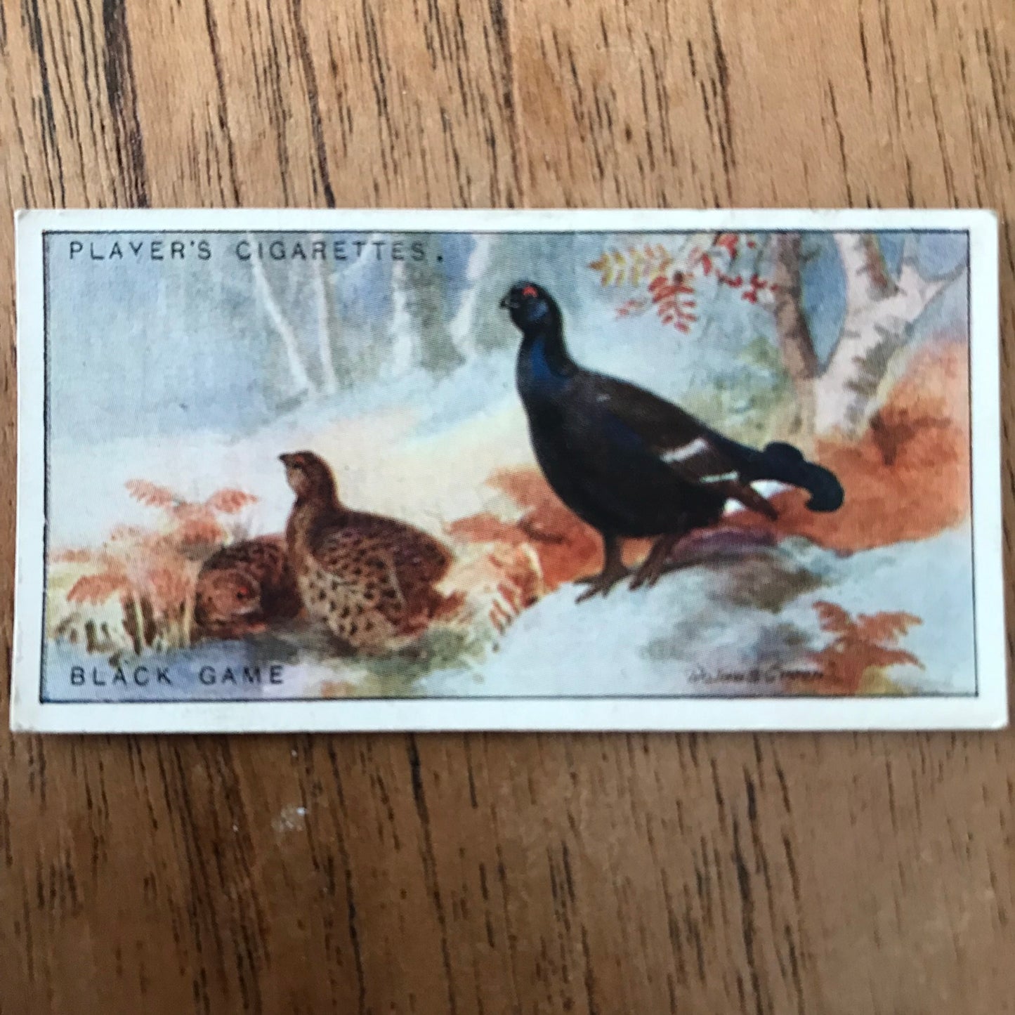 Players Cigarette Cards 'Game Birds and Wild Fowl' 1927 Sold individually - take your pick.