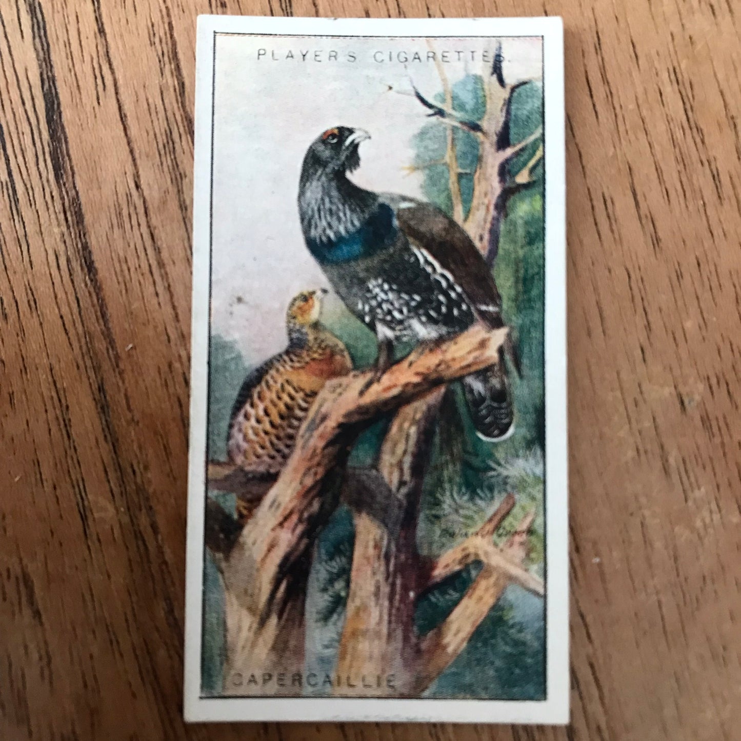 Players Cigarette Cards 'Game Birds and Wild Fowl' 1927 Sold individually - take your pick.