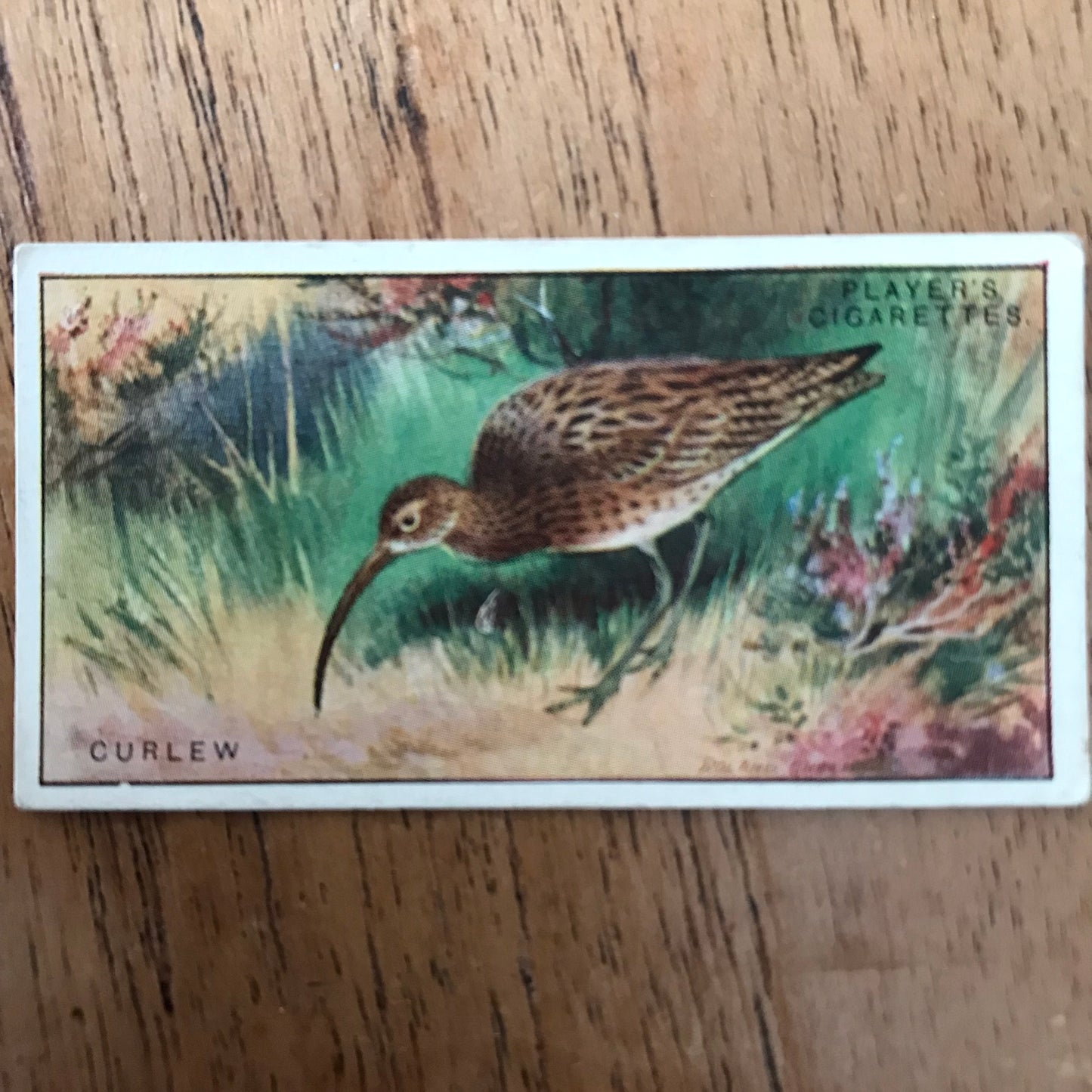 Players Cigarette Cards 'Game Birds and Wild Fowl' 1927 Sold individually - take your pick.