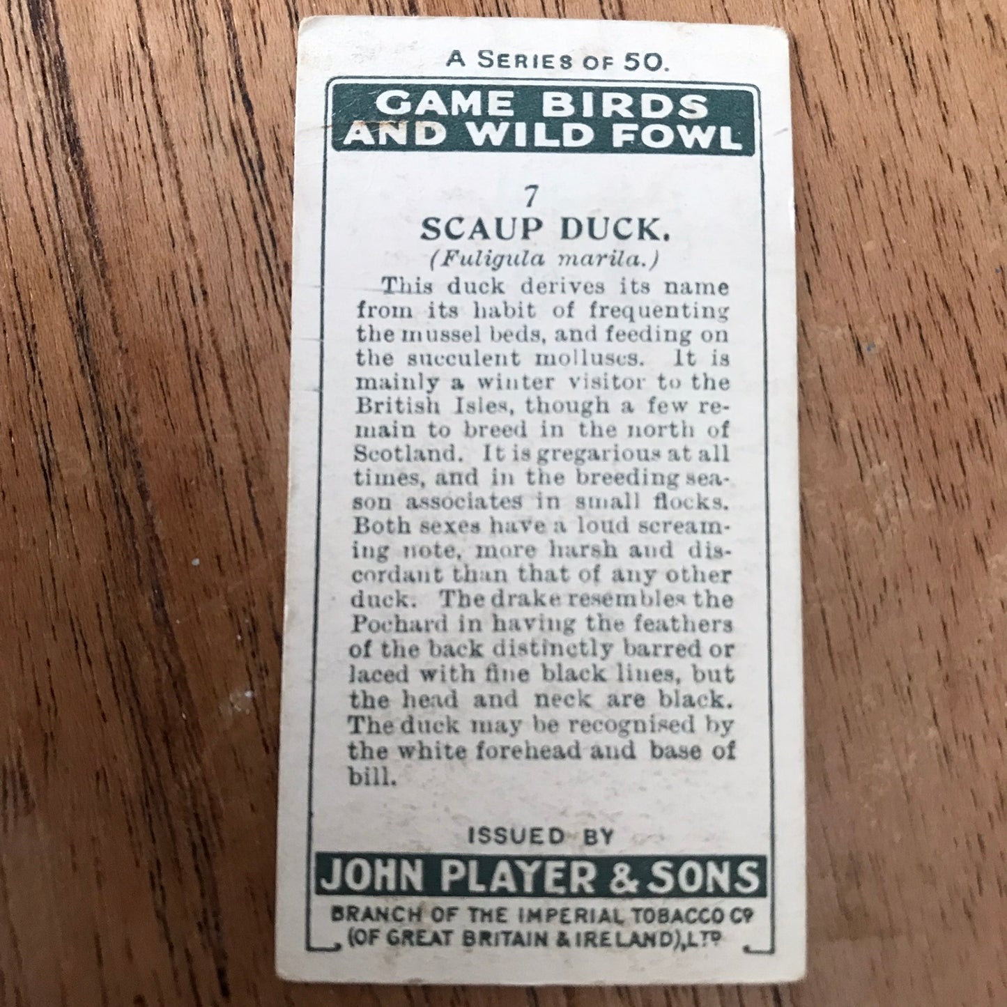 Players Cigarette Cards 'Game Birds and Wild Fowl' 1927 Sold individually - take your pick.