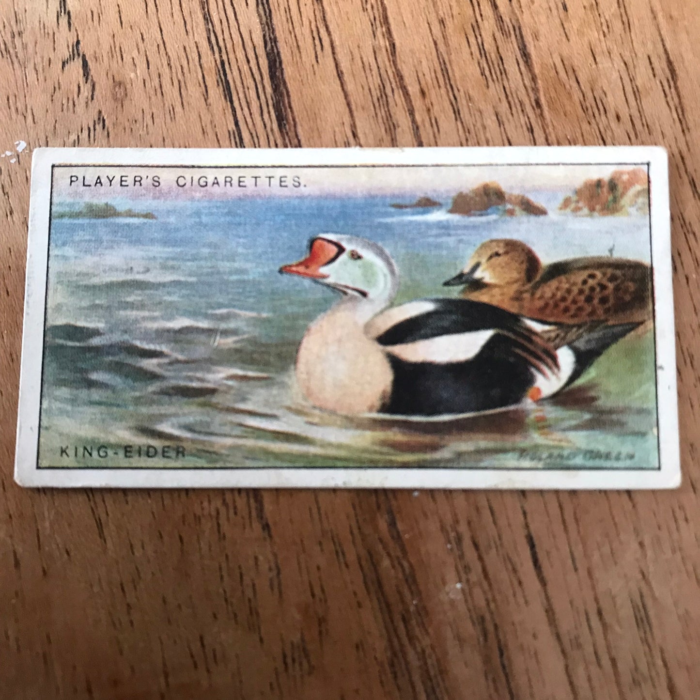 Players Cigarette Cards 'Game Birds and Wild Fowl' 1927 Sold individually - take your pick.