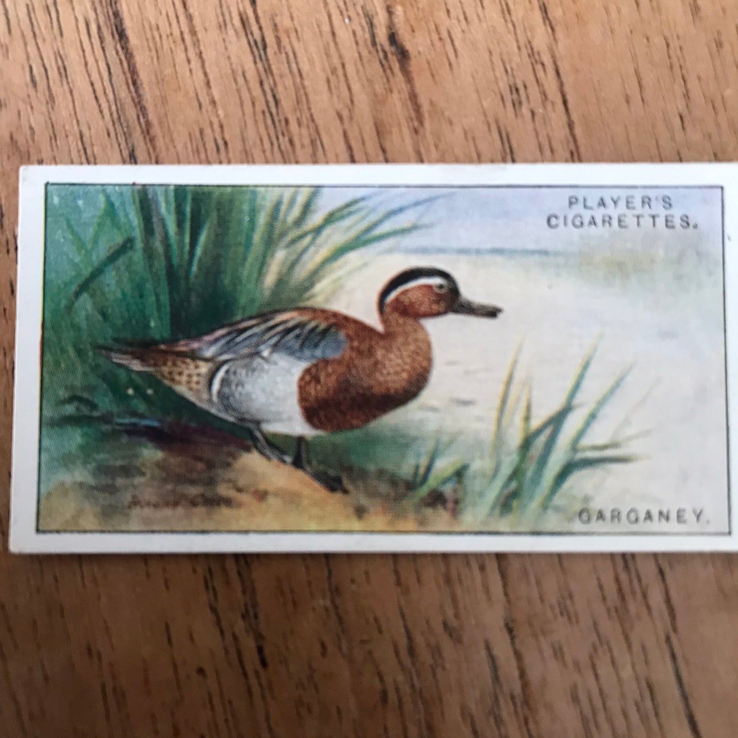 Players Cigarette Cards 'Game Birds and Wild Fowl' 1927 Sold individually - take your pick.