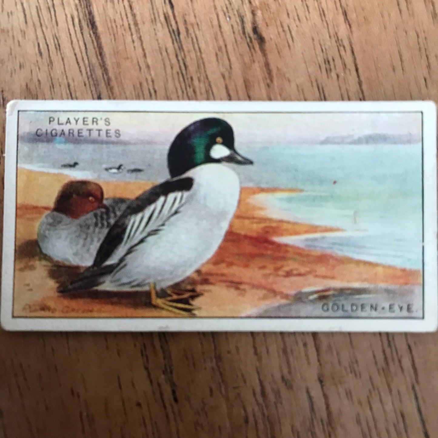 Players Cigarette Cards 'Game Birds and Wild Fowl' 1927 Sold individually - take your pick.