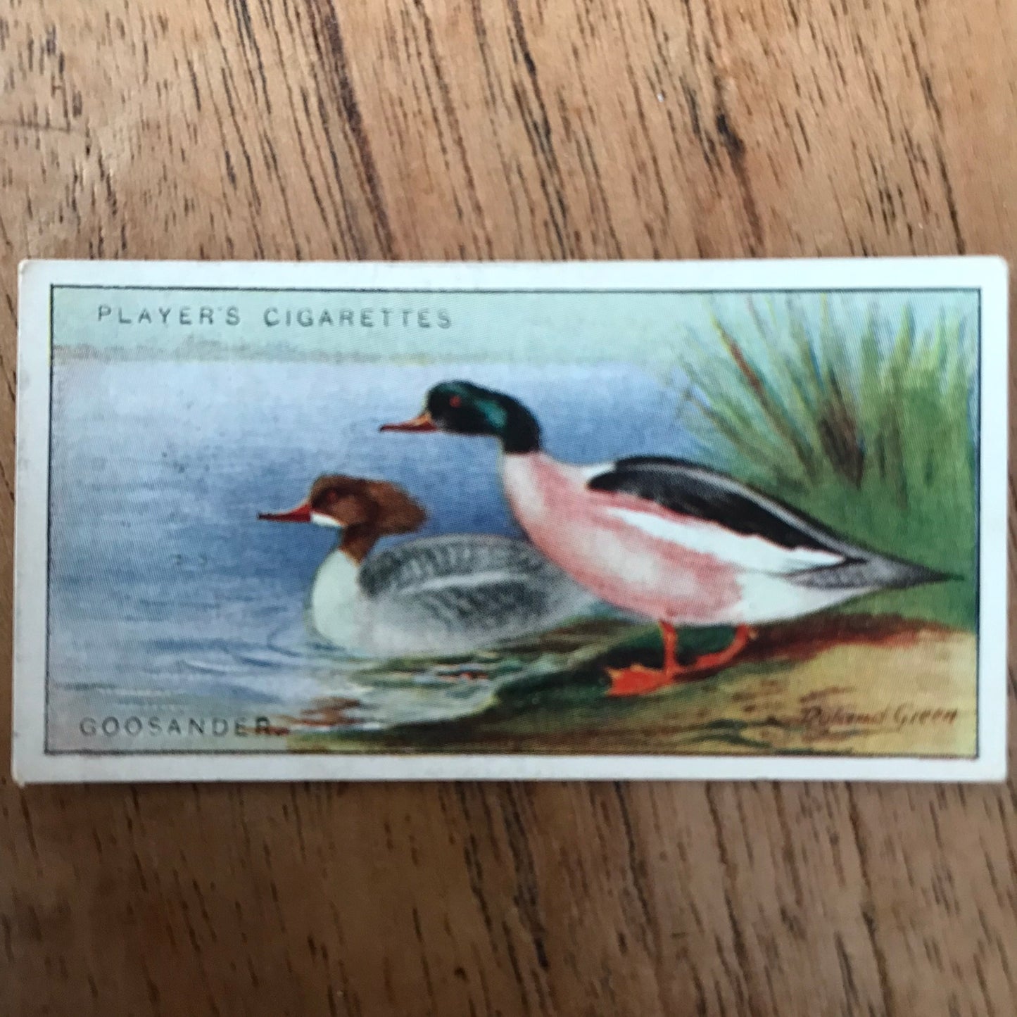 Players Cigarette Cards 'Game Birds and Wild Fowl' 1927 Sold individually - take your pick.