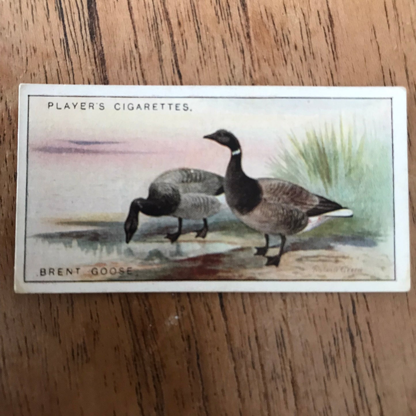 Players Cigarette Cards 'Game Birds and Wild Fowl' 1927 Sold individually - take your pick.