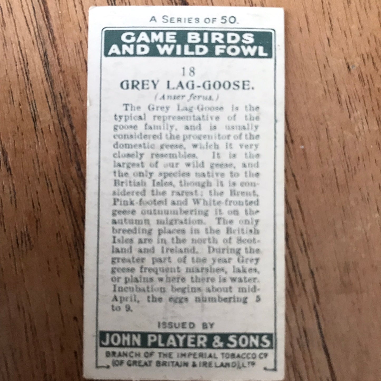 Players Cigarette Cards 'Game Birds and Wild Fowl' 1927 Sold individually - take your pick.