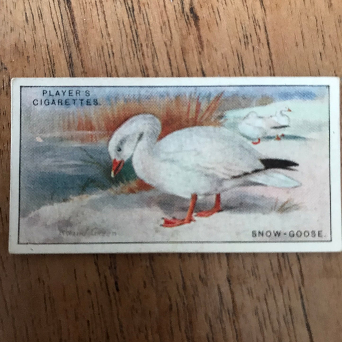 Players Cigarette Cards 'Game Birds and Wild Fowl' 1927 Sold individually - take your pick.