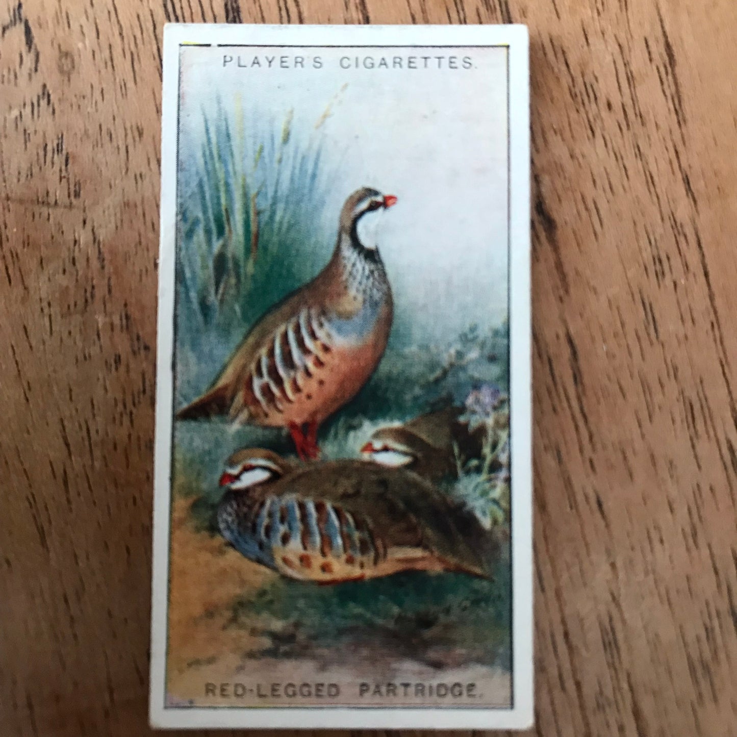 Players Cigarette Cards 'Game Birds and Wild Fowl' 1927 Sold individually - take your pick.