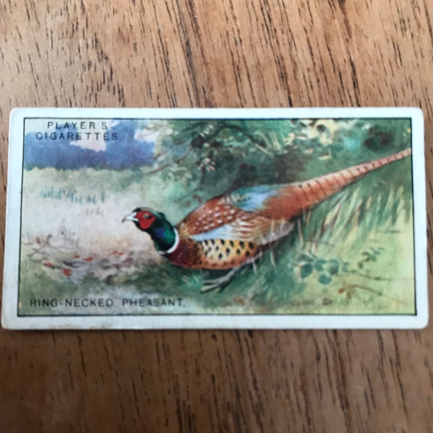 Players Cigarette Cards 'Game Birds and Wild Fowl' 1927 Sold individually - take your pick.