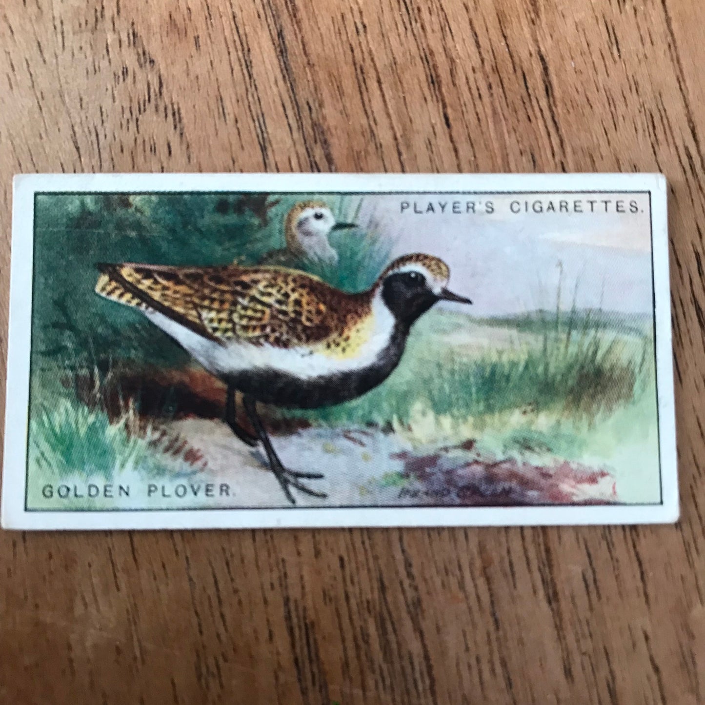Players Cigarette Cards 'Game Birds and Wild Fowl' 1927 Sold individually - take your pick.