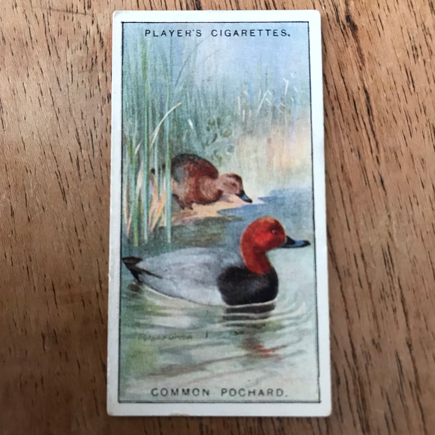 Players Cigarette Cards 'Game Birds and Wild Fowl' 1927 Sold individually - take your pick.