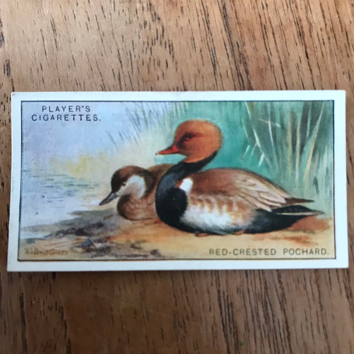 Players Cigarette Cards 'Game Birds and Wild Fowl' 1927 Sold individually - take your pick.