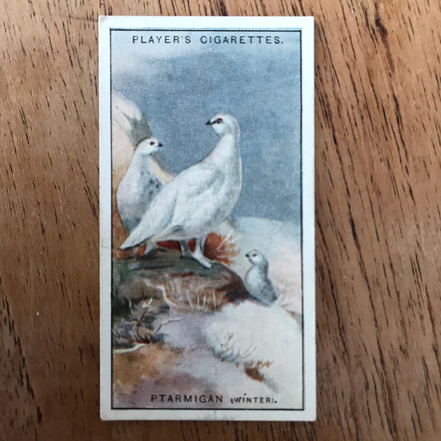 Players Cigarette Cards 'Game Birds and Wild Fowl' 1927 Sold individually - take your pick.