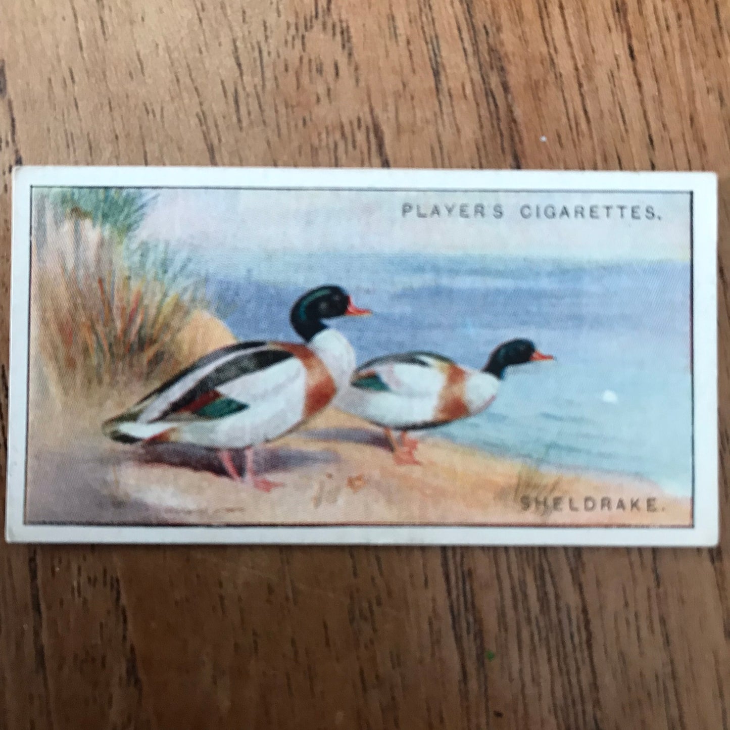 Players Cigarette Cards 'Game Birds and Wild Fowl' 1927 Sold individually - take your pick.