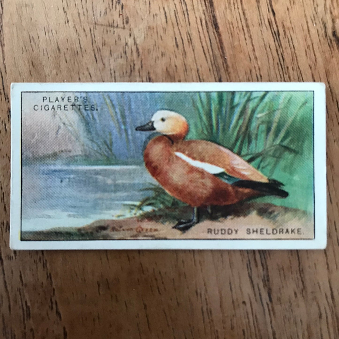 Players Cigarette Cards 'Game Birds and Wild Fowl' 1927 Sold individually - take your pick.