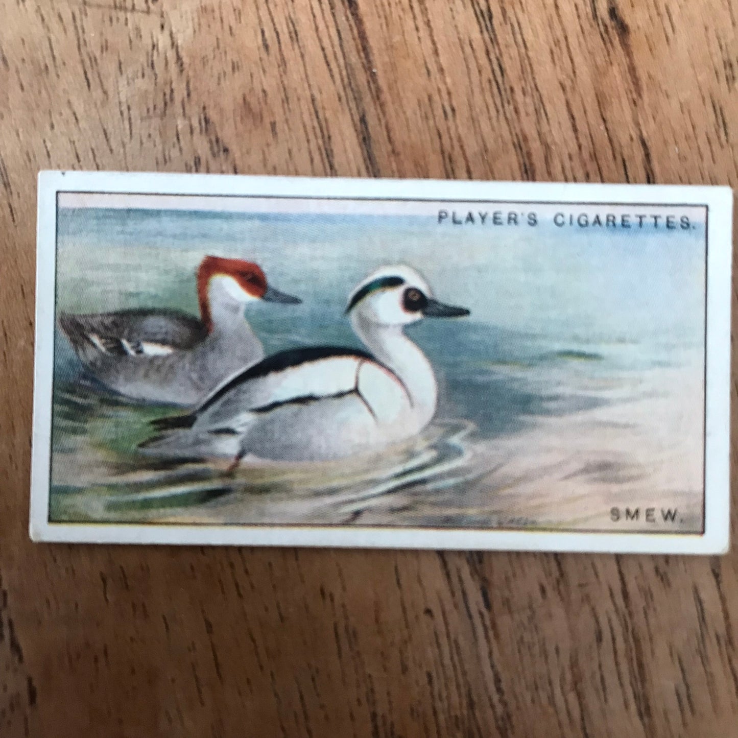 Players Cigarette Cards 'Game Birds and Wild Fowl' 1927 Sold individually - take your pick.