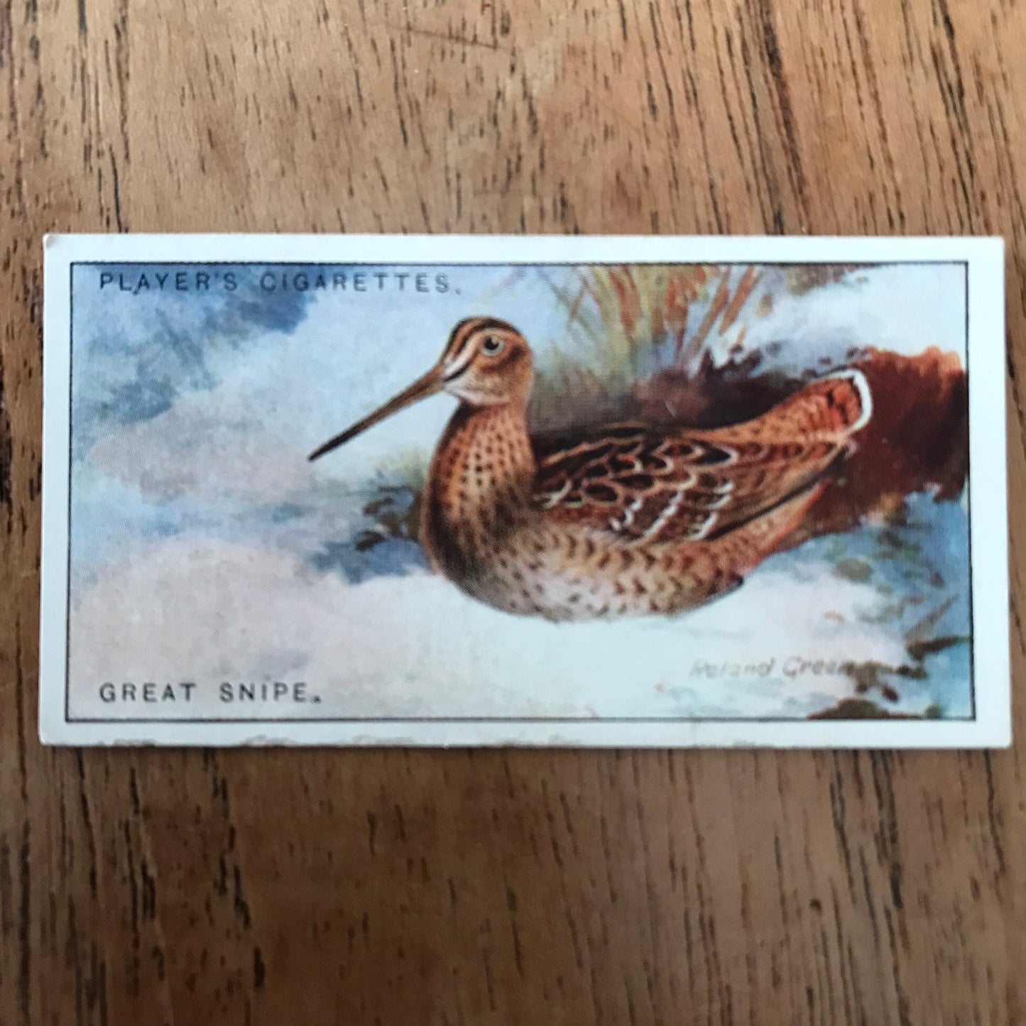 Players Cigarette Cards 'Game Birds and Wild Fowl' 1927 Sold individually - take your pick.