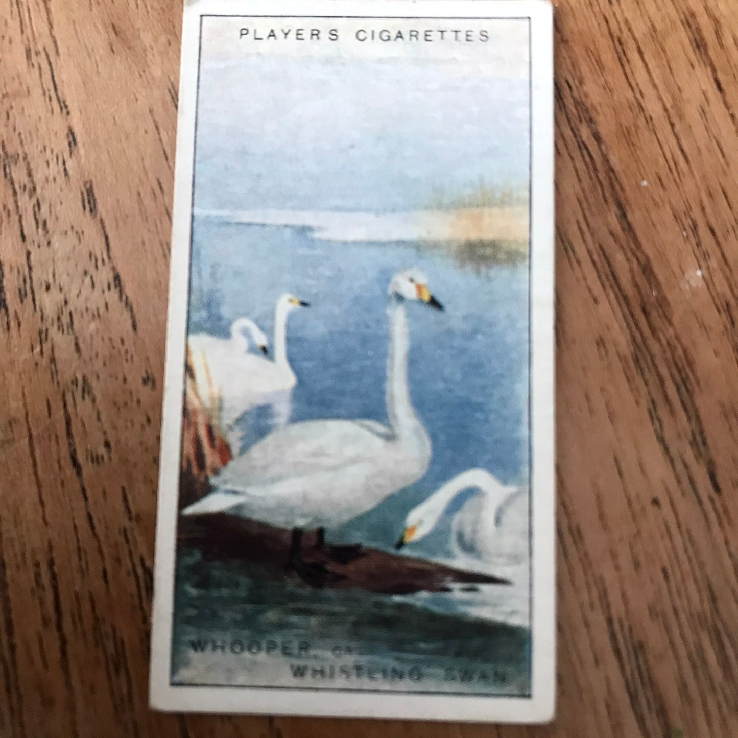Players Cigarette Cards 'Game Birds and Wild Fowl' 1927 Sold individually - take your pick.