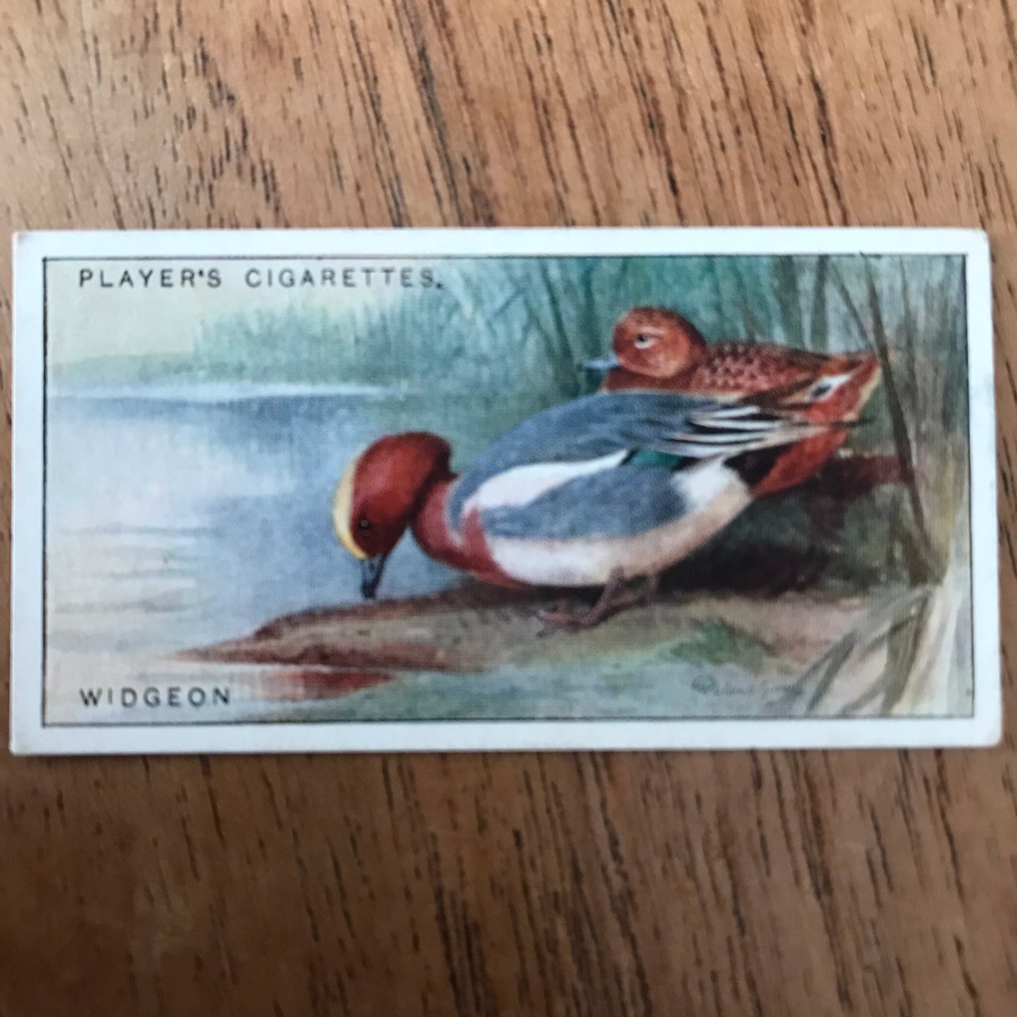 Players Cigarette Cards 'Game Birds and Wild Fowl' 1927 Sold individually - take your pick.