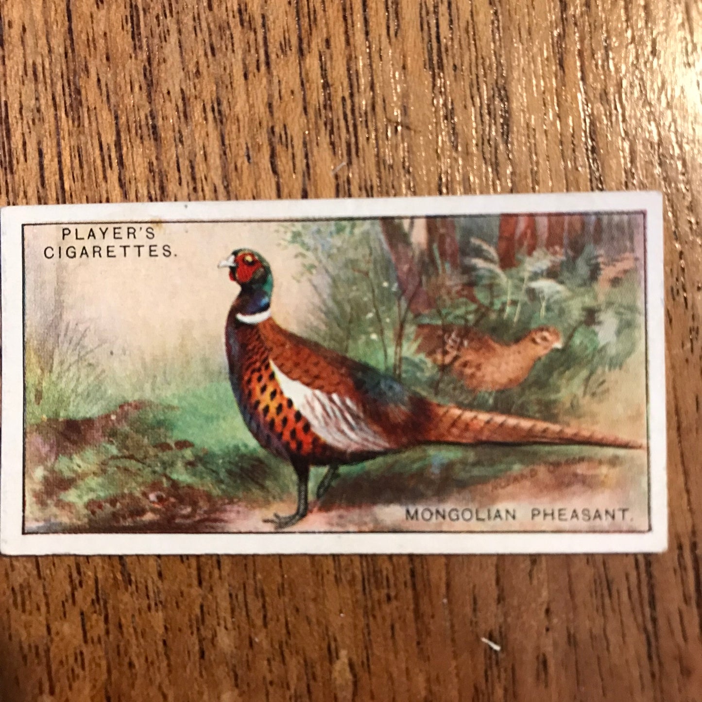 Players Cigarette Cards 'Game Birds and Wild Fowl' 1927 Sold individually - take your pick.