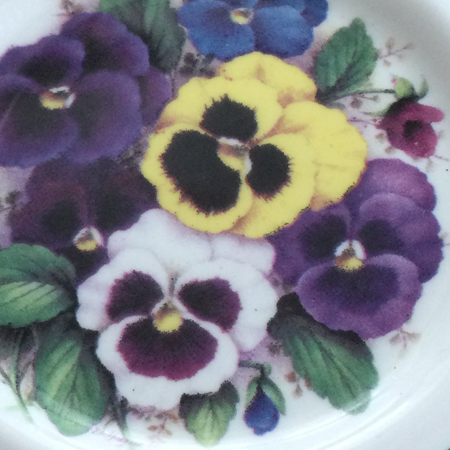 Pretty Pansy Design Total Elegance China Coaster. Staffordshire Fine Bone China. Bright Florals.
