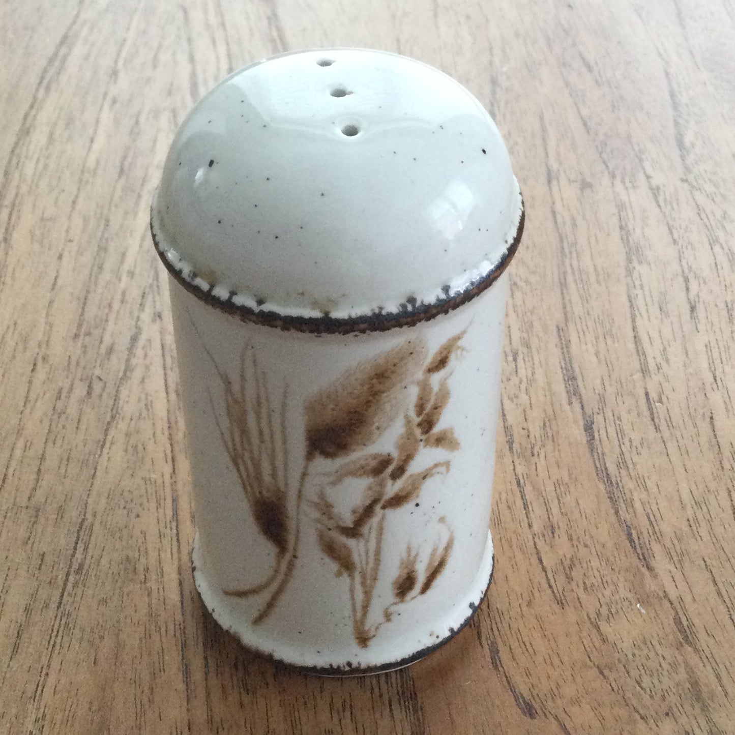 Vintage Midwinter Stonehenge 'Wild Oats' large salt pot. 1970s Retro. Rustic. 10.5 cm high. Brown and beige.