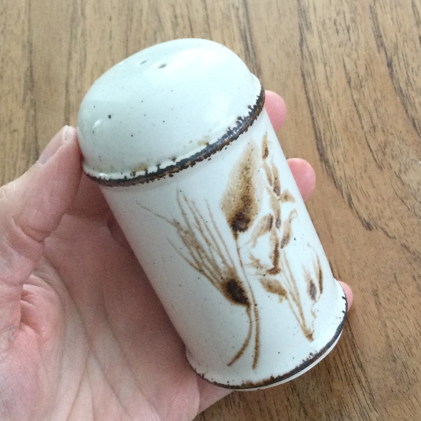 Vintage Midwinter Stonehenge 'Wild Oats' large salt pot. 1970s Retro. Rustic. 10.5 cm high. Brown and beige.