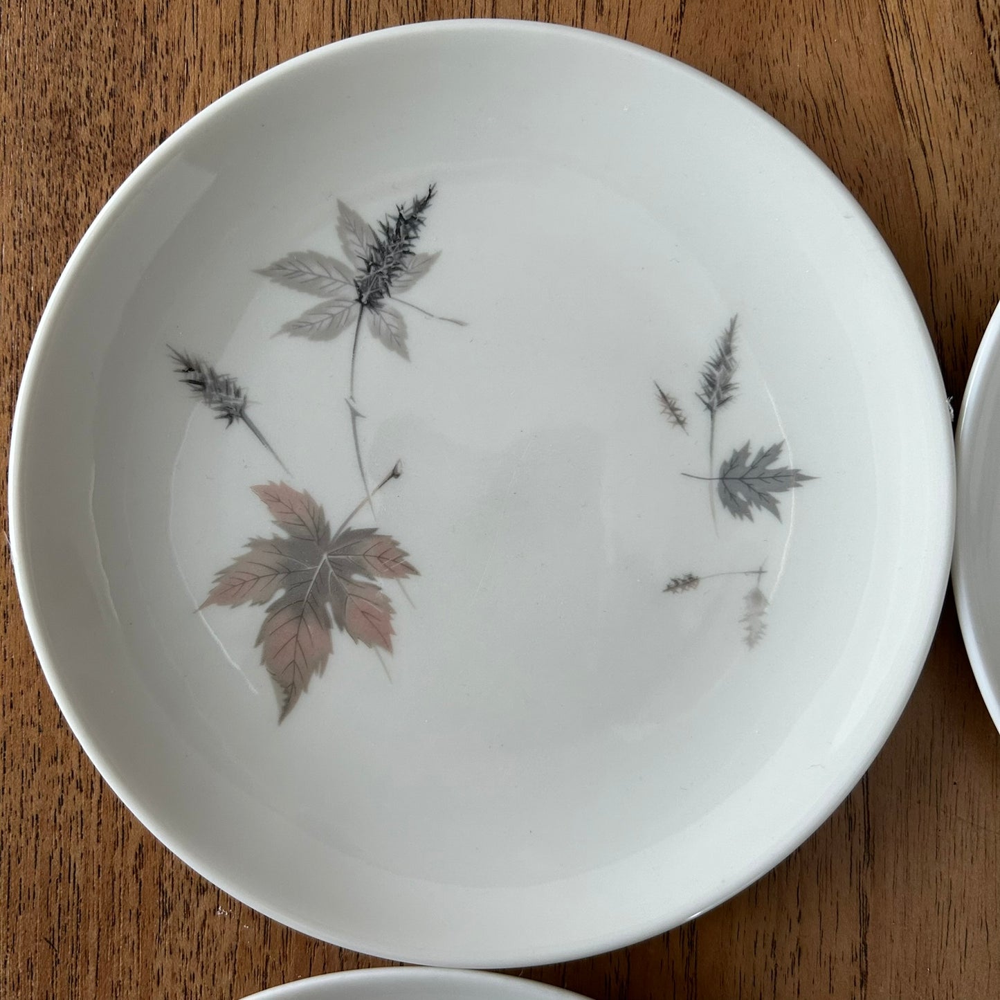Royal Doulton Tumbling Leaves - 16cm Side Plates Set Of 4 - Autumnal - 60s 70s.
