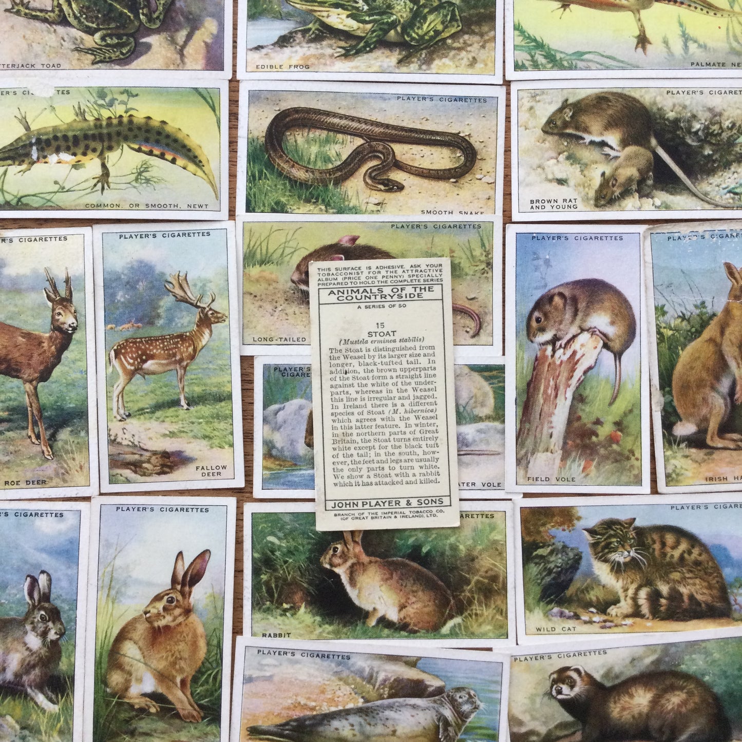 Animals of the Countryside. Players Cigarette Cards. 1939. 1930s. Sold individually so you can take your pick.