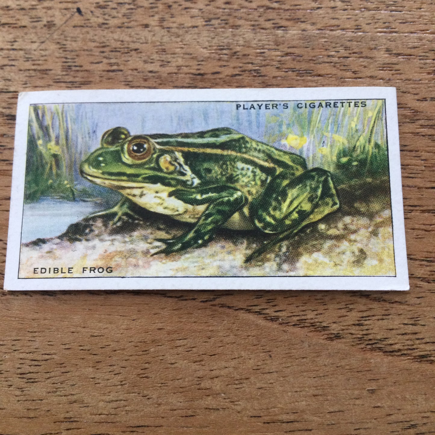 Animals of the Countryside. Players Cigarette Cards. 1939. 1930s. Sold individually so you can take your pick.