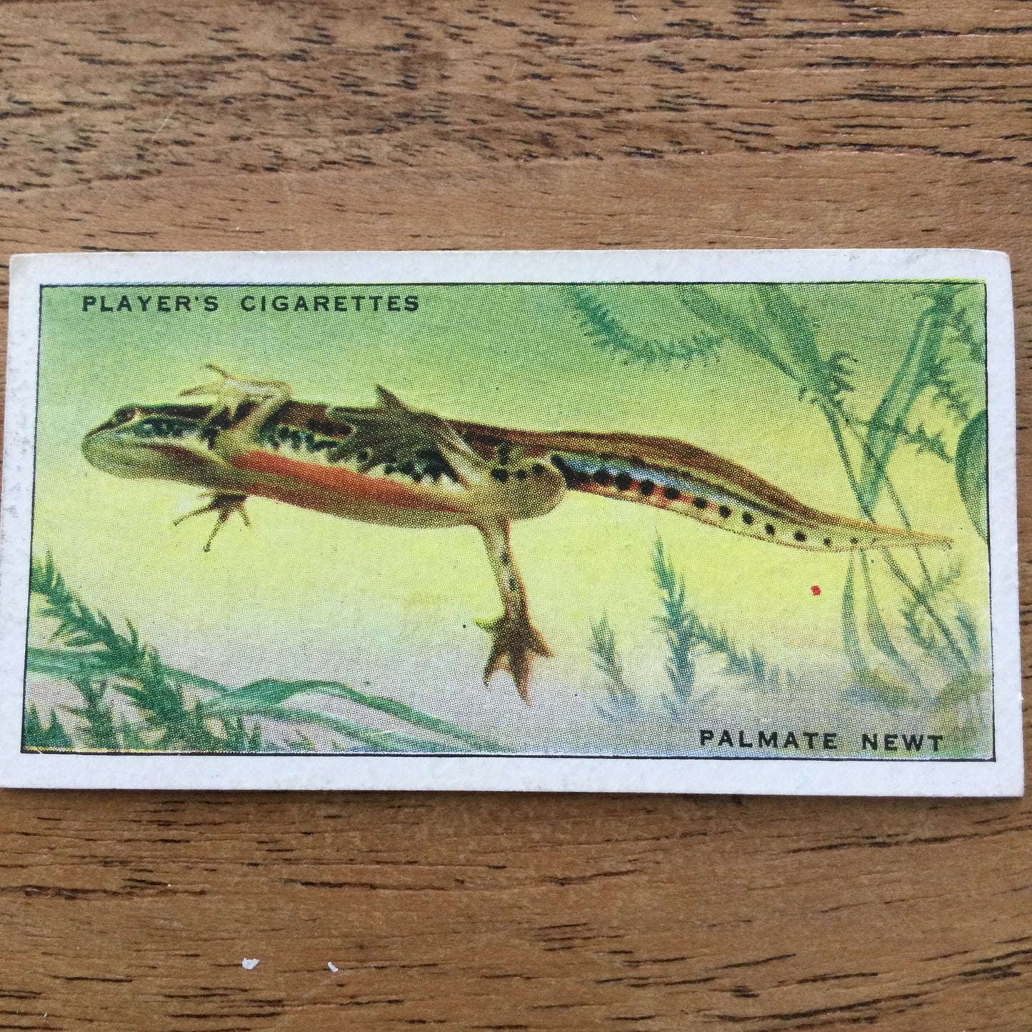 Animals of the Countryside. Players Cigarette Cards. 1939. 1930s. Sold individually so you can take your pick.