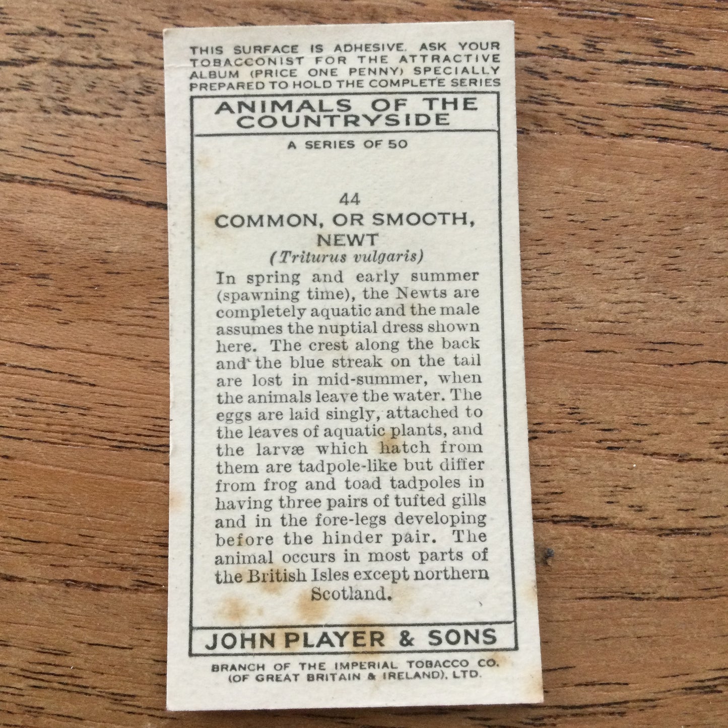 Animals of the Countryside. Players Cigarette Cards. 1939. 1930s. Sold individually so you can take your pick.