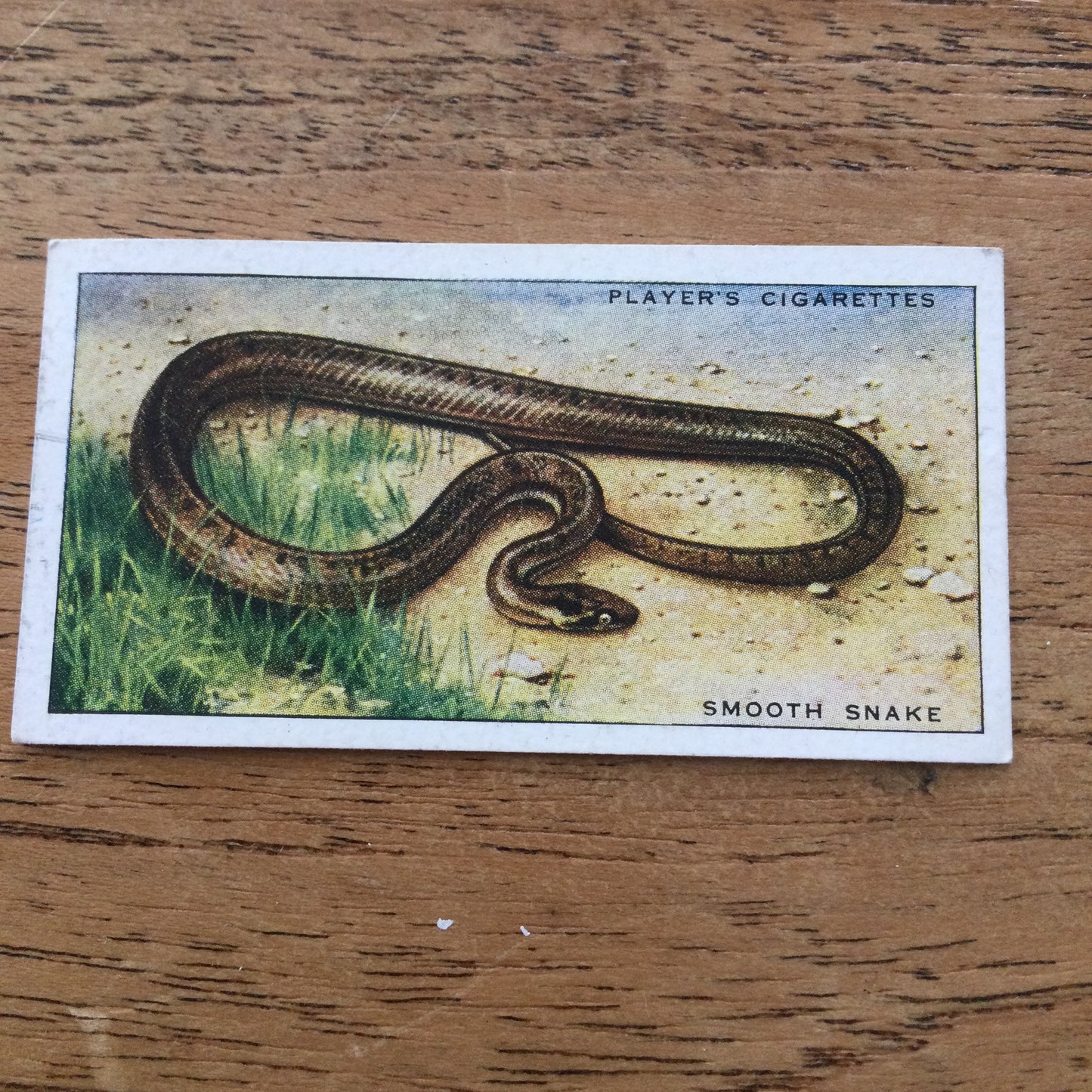 Animals of the Countryside. Players Cigarette Cards. 1939. 1930s. Sold individually so you can take your pick.