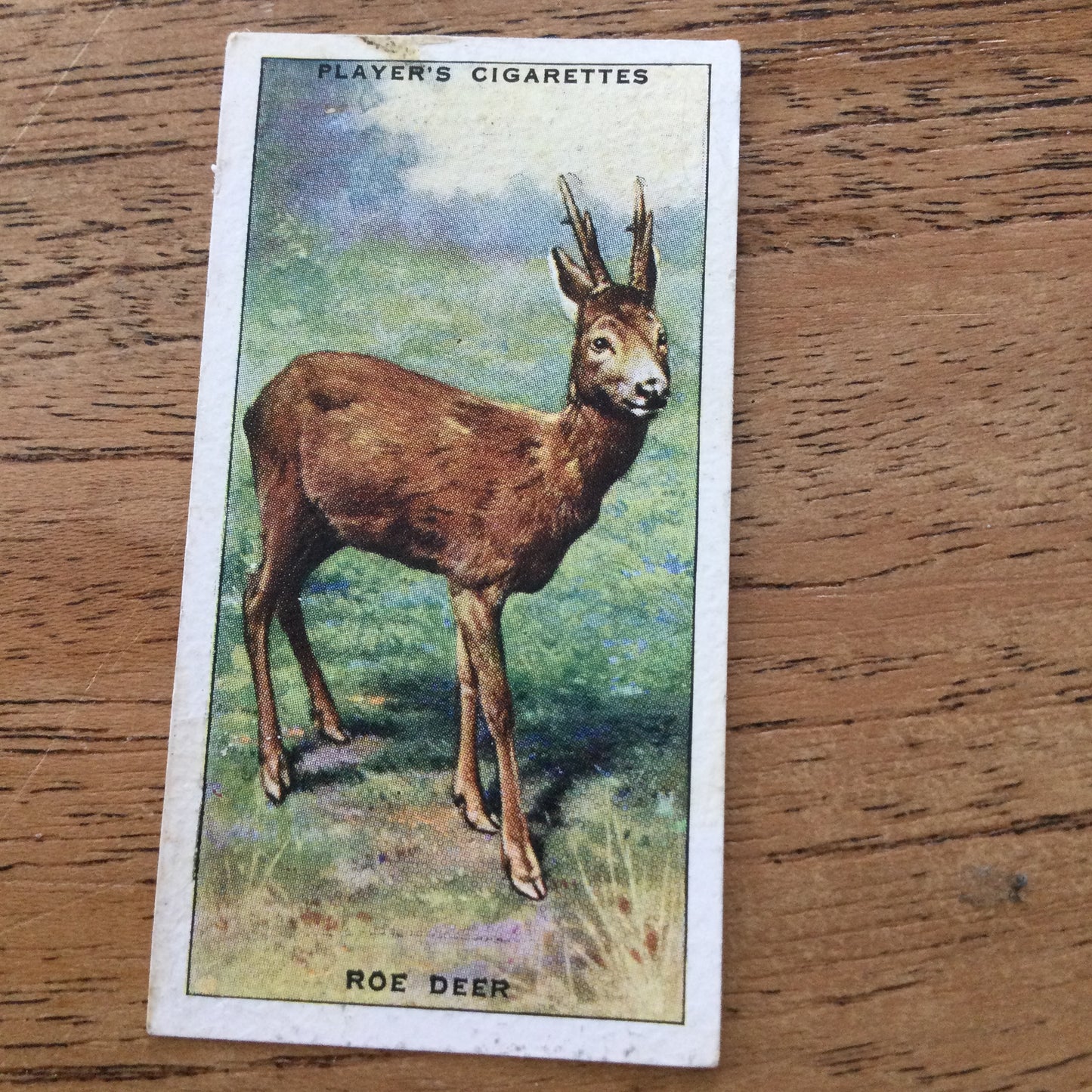 Animals of the Countryside. Players Cigarette Cards. 1939. 1930s. Sold individually so you can take your pick.