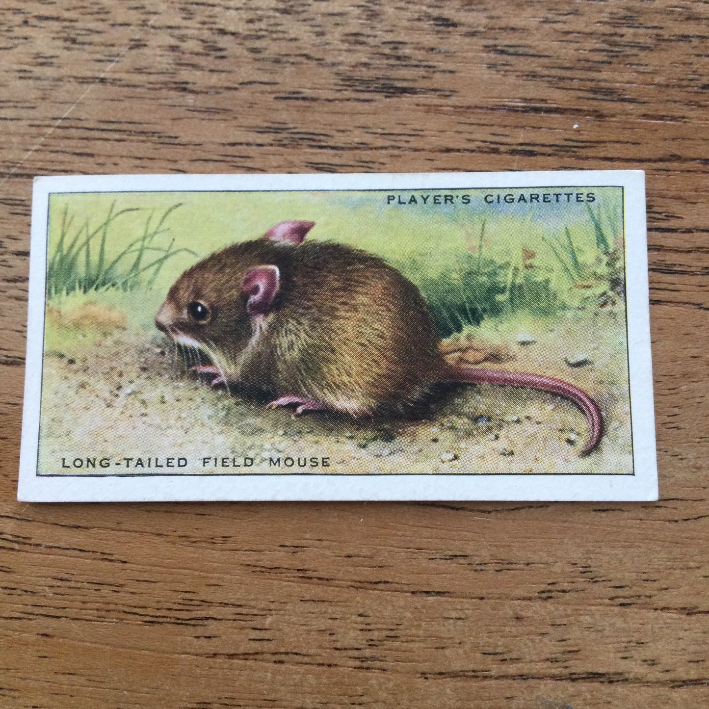 Animals of the Countryside. Players Cigarette Cards. 1939. 1930s. Sold individually so you can take your pick.