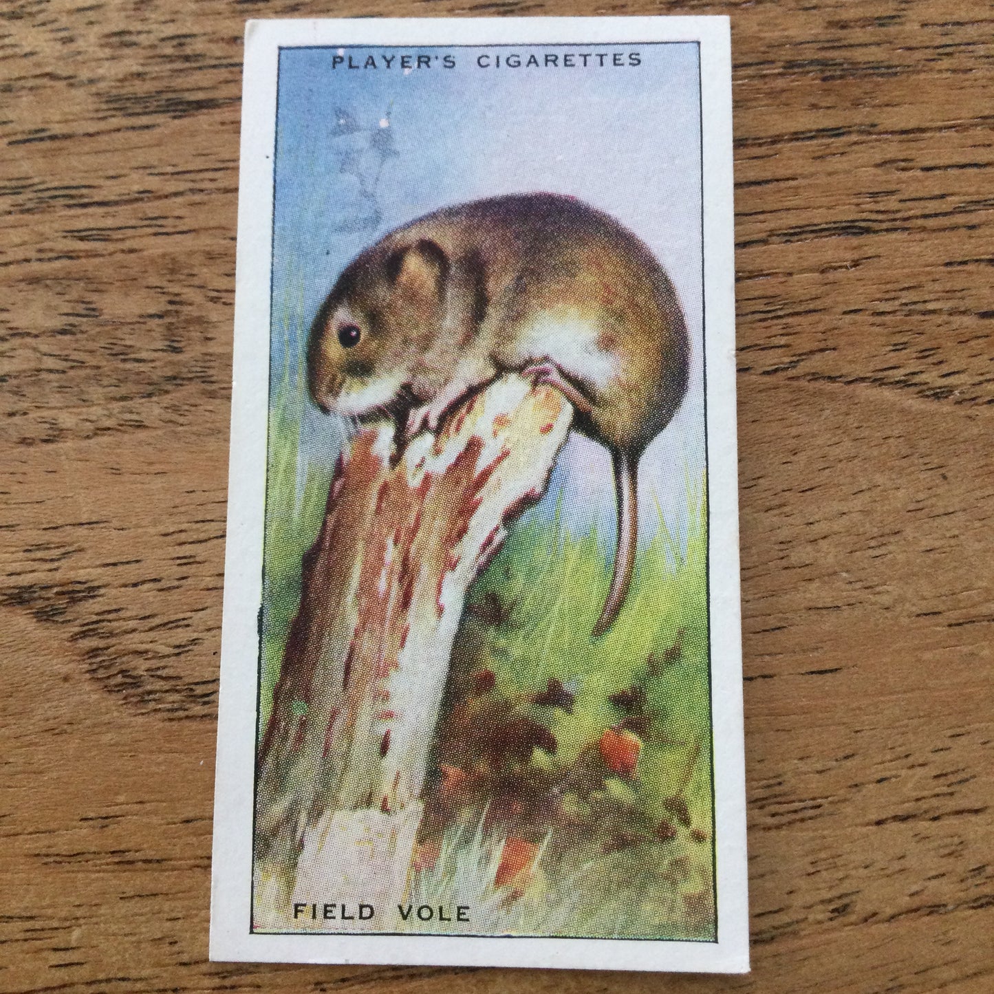 Animals of the Countryside. Players Cigarette Cards. 1939. 1930s. Sold individually so you can take your pick.