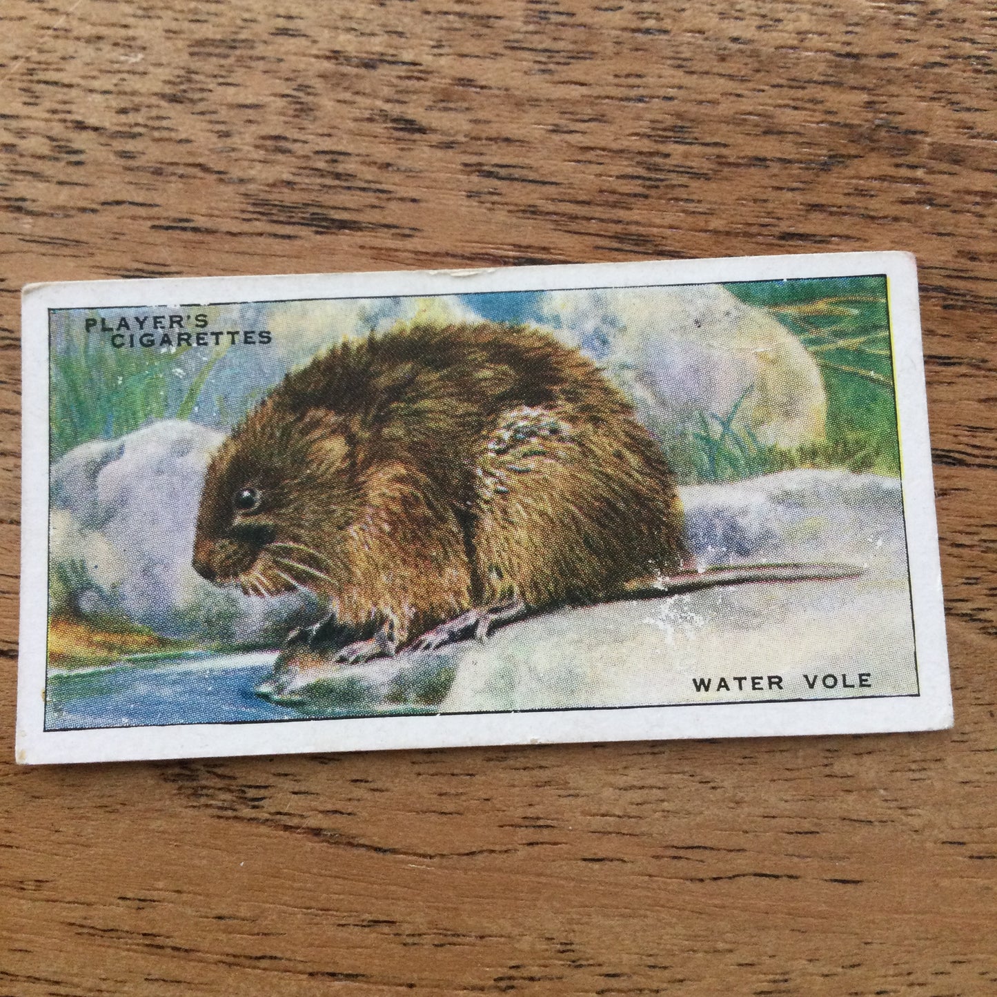 Animals of the Countryside. Players Cigarette Cards. 1939. 1930s. Sold individually so you can take your pick.