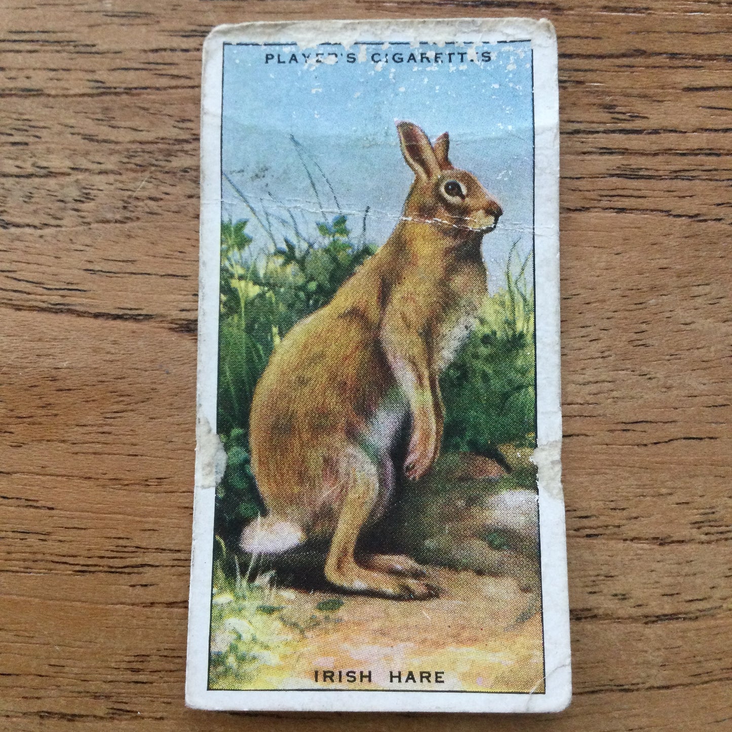 Animals of the Countryside. Players Cigarette Cards. 1939. 1930s. Sold individually so you can take your pick.