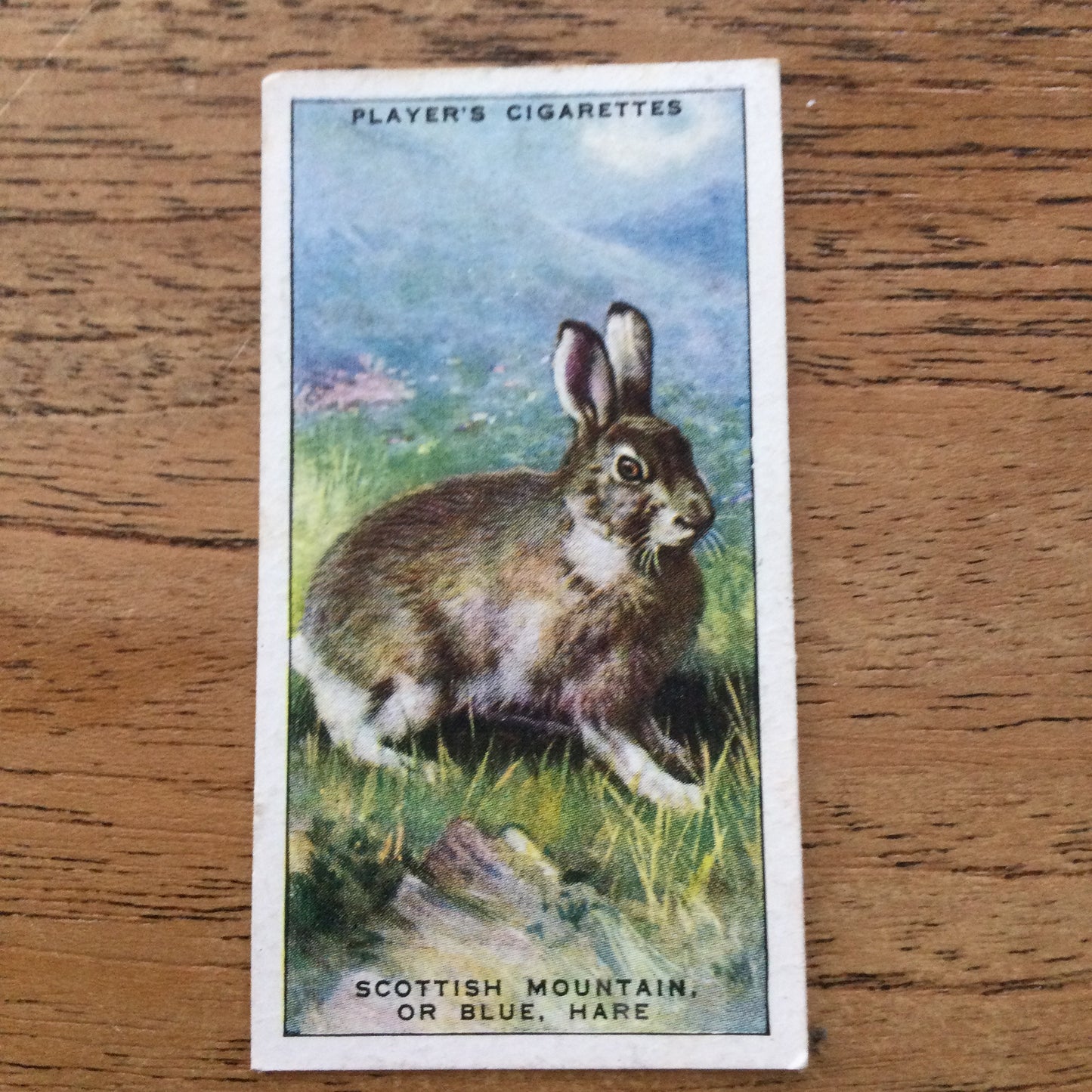 Animals of the Countryside. Players Cigarette Cards. 1939. 1930s. Sold individually so you can take your pick.